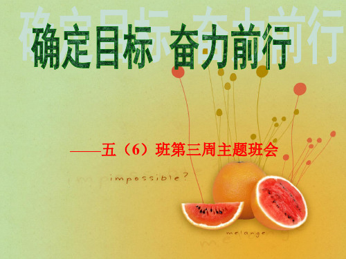 《确立目标,奋力前行》.PPT