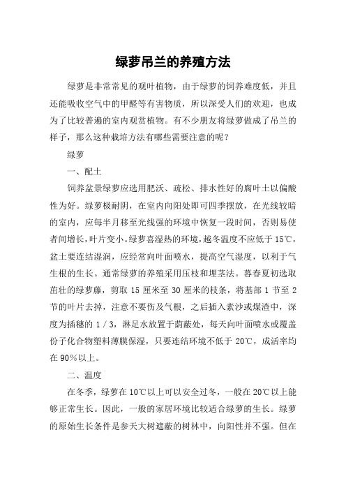 绿萝吊兰的养殖方法