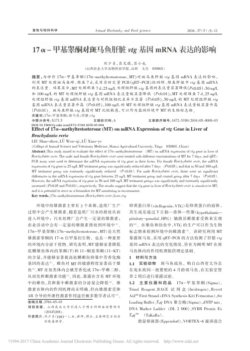 17_甲基睾酮对斑马鱼肝脏vtg基因mRNA表达的影响_刘少贞