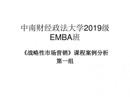 中南财大EMBA班营销案例分析(第一组)-PPT文档资料