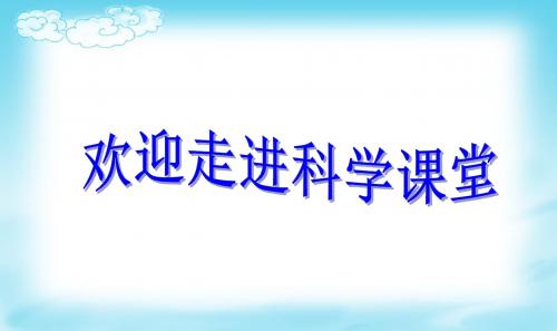 教科版小学二年级科学《小孔成像》精品PPT
