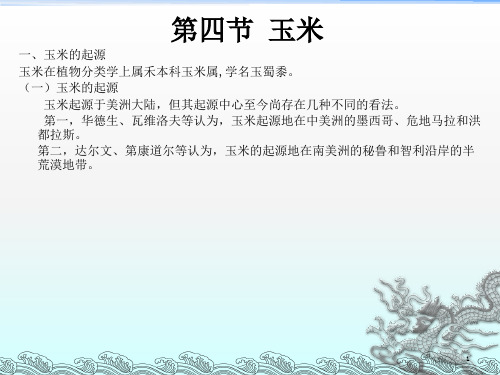 《谷物原料》PPT课件