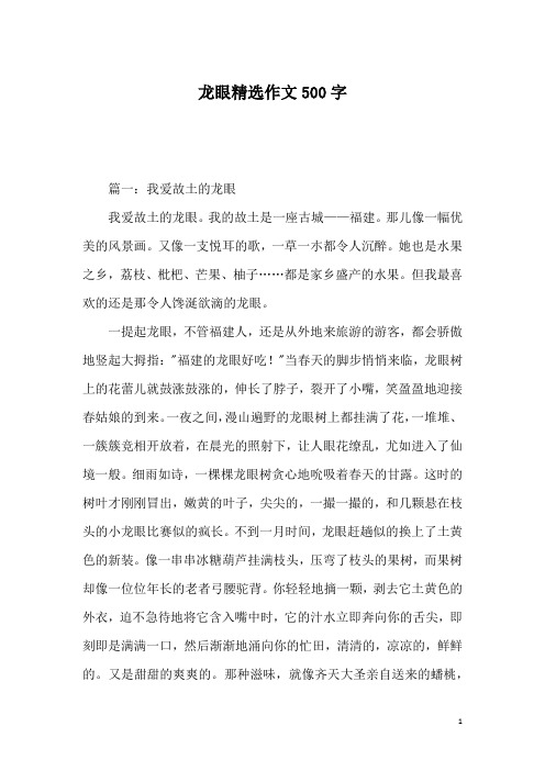 龙眼精选作文500字