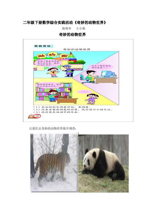 二年级下册数学综合实践活动