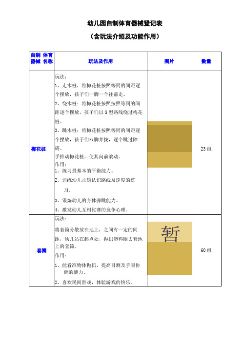 幼儿园自制体育器械登记表