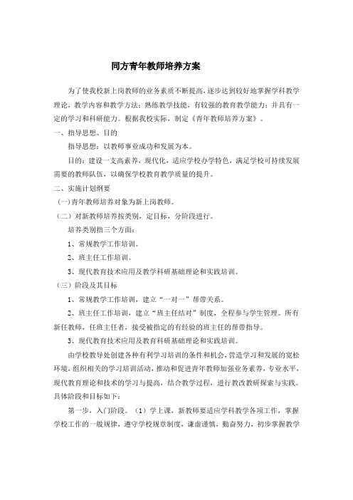 同方青年教师培养方案