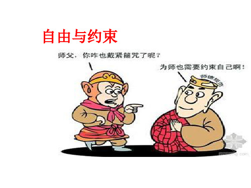 自由与约束