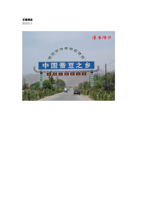 甘肃漳县