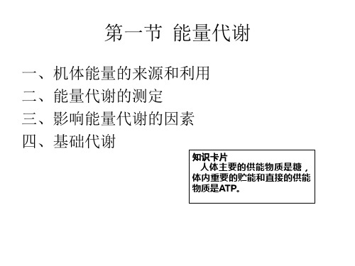 能量代谢特点