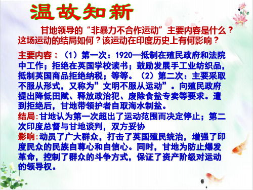 斯福新政课件ppt