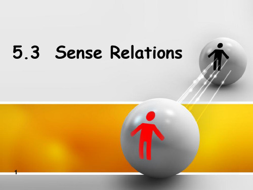 Sense Relations