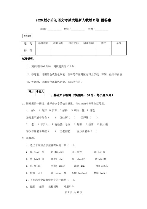 2020版小升初语文考试试题新人教版C卷 附答案