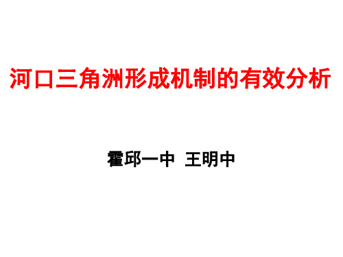 河口三角洲形成机制的有效分析