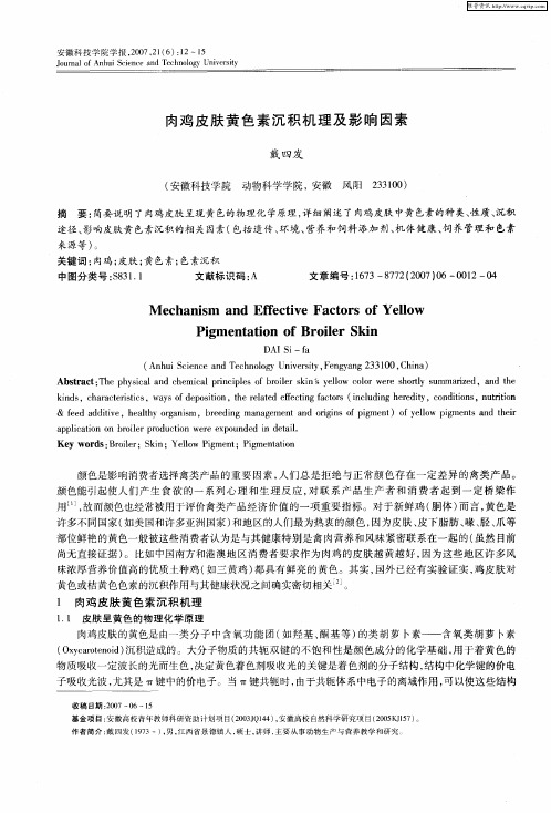 肉鸡皮肤黄色素沉积机理及影响因素
