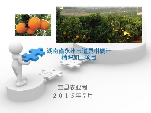湖南省永州道县柑橘汁精深加工项目