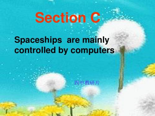 九年级 Unit 4 Topic 1 Section C