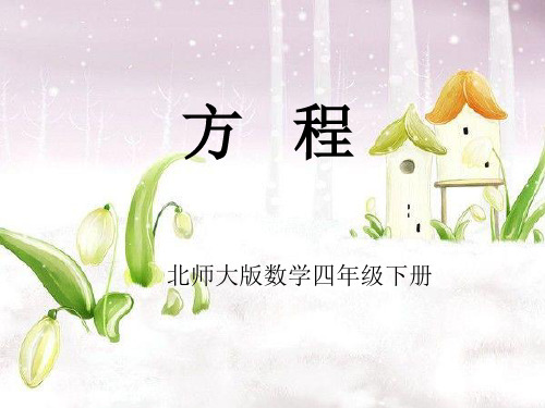 方程的初步认识