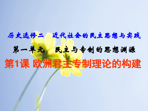 欧洲君主专制理论的构建中小学PPT教学课件