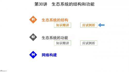 2019届 一轮复习人教版 生态系统的结构和功能 课件