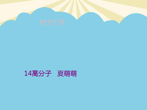 【优】涤纶短纤维性能最全PPT资料