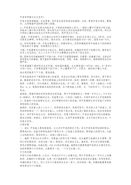 芦荟和种植与生长条件