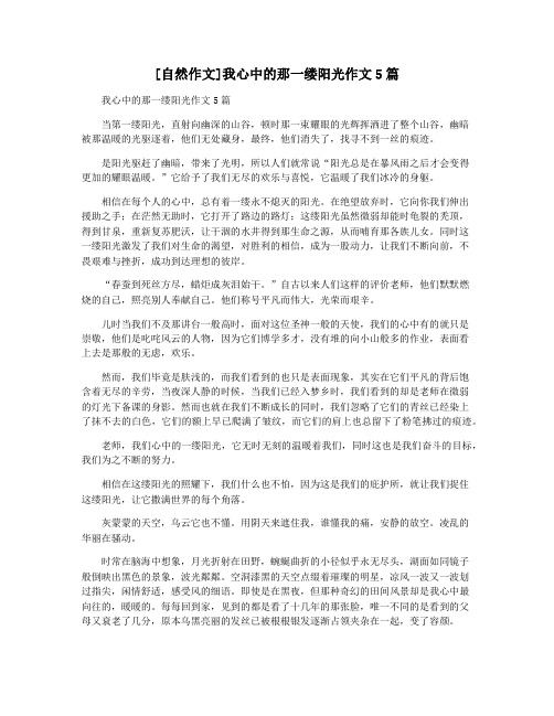 [自然作文]我心中的那一缕阳光作文5篇