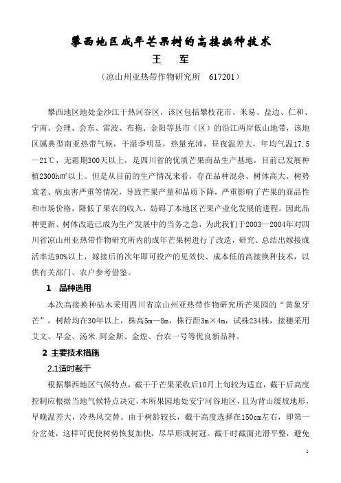 攀西地区成年芒果树高接换种技术