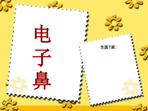 电子鼻课件