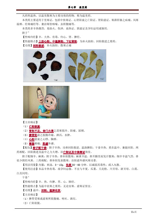 第七章 温里药