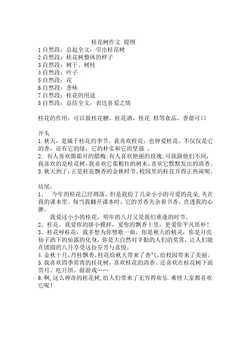 桂花树写作提纲与范文