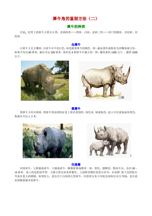 犀牛角的鉴别方法(二)