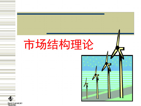 微观经济学 市场结构理论