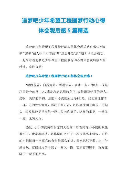 追梦吧少年希望工程圆梦行动心得体会观后感5篇精选