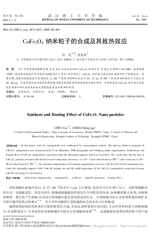 CoFe_2O_4纳米粒子的合成及其致热效应_陈跃