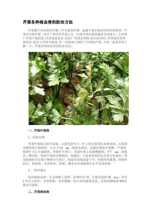 芹菜各种病虫害的防治方法