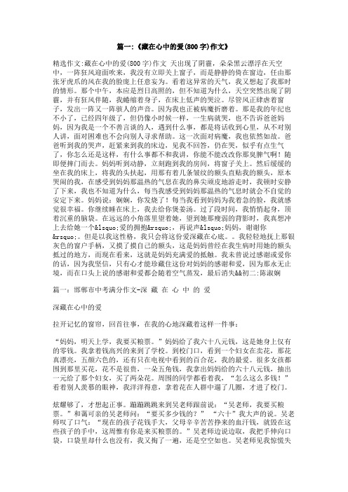 关于——藏在我心中的作文