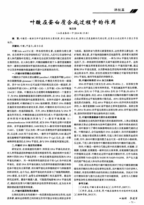 叶酸在蛋白质合成过程中的作用