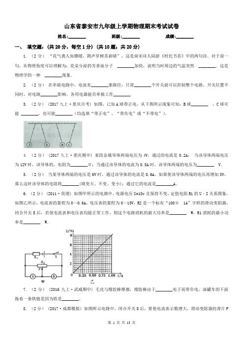 山东省泰安市九年级上学期物理期末考试试卷