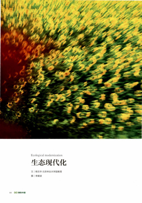 生态现代化