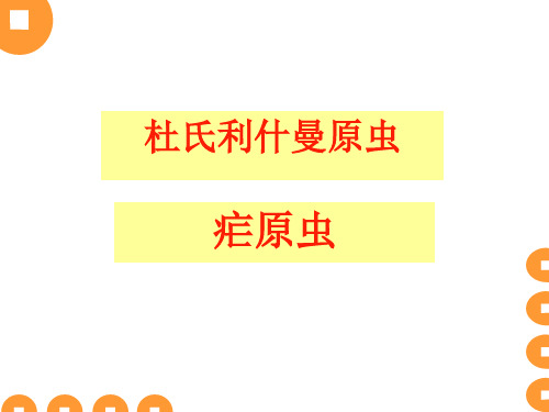 0黑热病