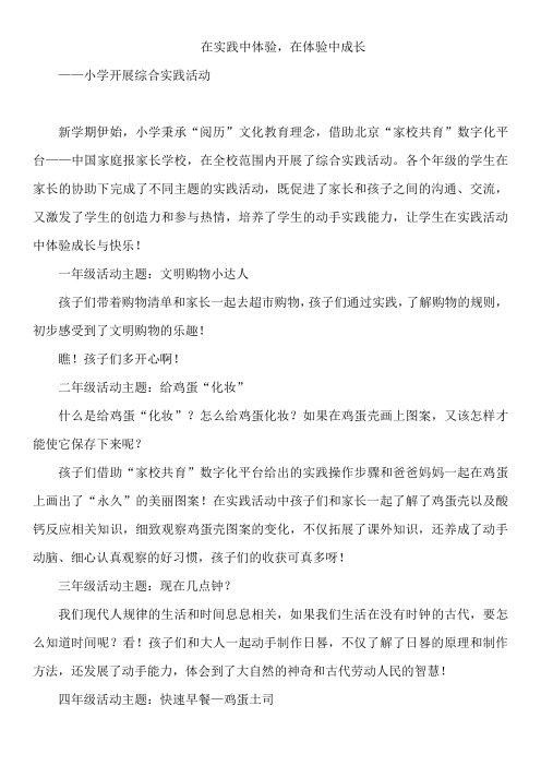 在实践中体验在体验中成长 ——综合实践小结