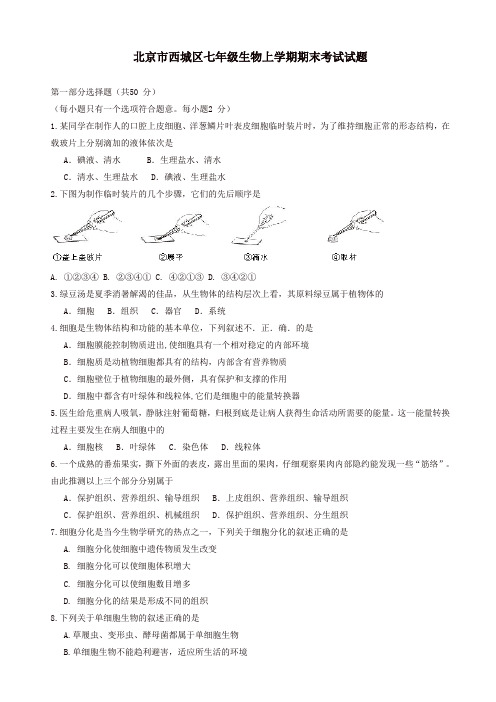 【精品】北京市西城区七年级生物上学期期末考试试题新人教版