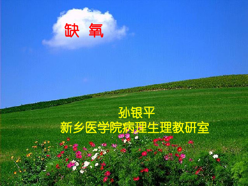 缺氧