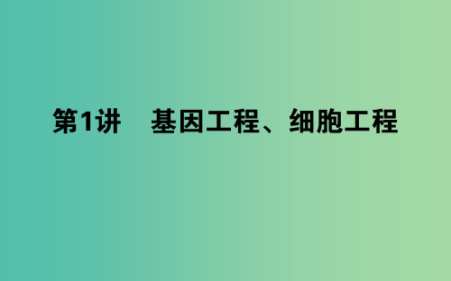 高考生物二轮复习 专题九 现代生物科技专题 第1讲 基因工程、细胞工程课件