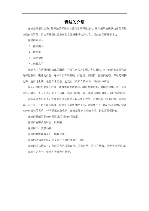 青蛙的介绍