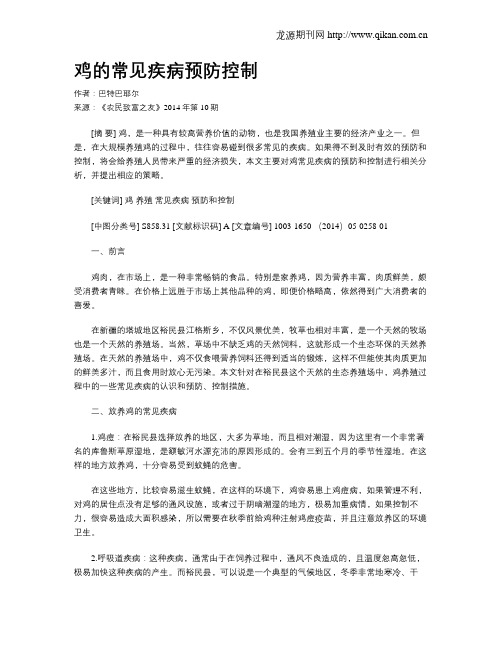 鸡的常见疾病预防控制