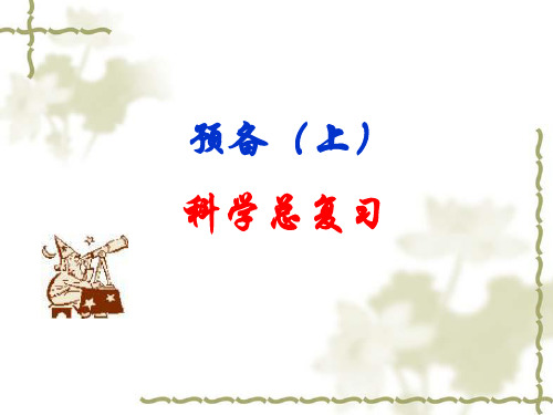 沪教版六年级科学复习A