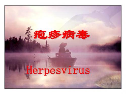 疱疹病毒