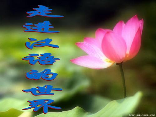 第一课 走进汉语的世界