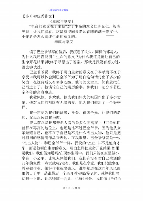 小升初满分作文精选10篇【附点评】